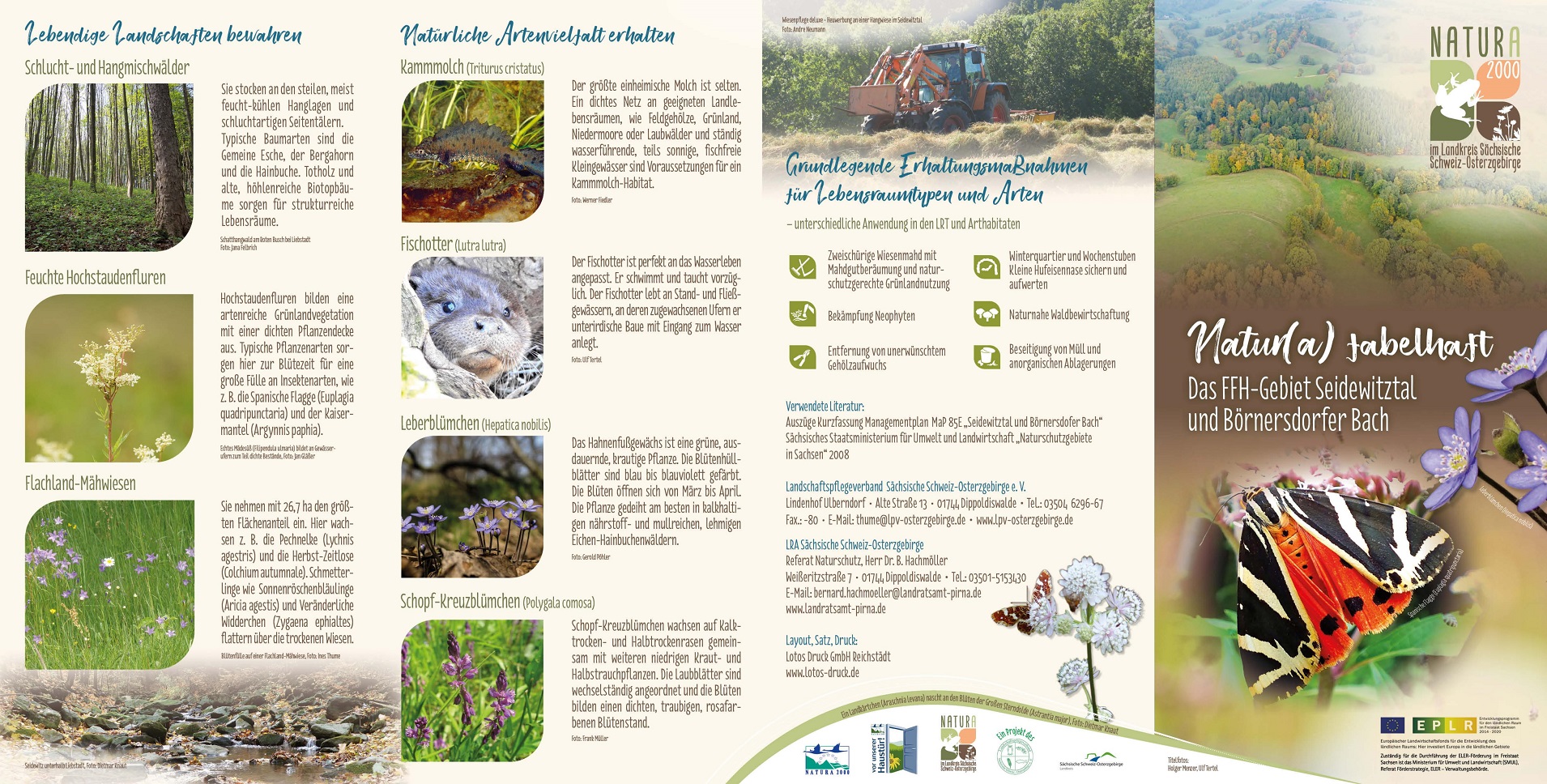 tl_files/downloads/Bilder Projekte/Projektstellen/Natura 2000 1.0/Flyer/Seidewitztal_1.jpg